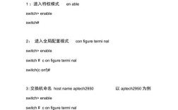 Cisco路由命令有哪些常用指令？