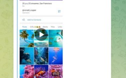 Telematic招聘什么岗位？要求有哪些？