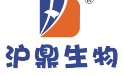豚鼠科技 招聘，豚鼠科技招聘，哪些岗位在招？