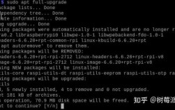 树莓派3升级命令有哪些？