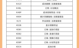 SAP常用命令有哪些？