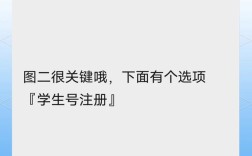 新网域名注册申请流程详解，从准备材料到成功上线的步骤有哪些？