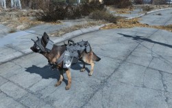 辐射4命令狗肉怎么调？