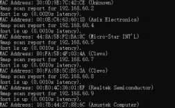 nmap常用命令有哪些？