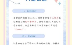 新加坡 browhaus 招聘什么岗位？