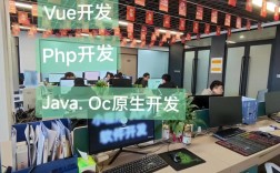 网站搭建软件开发，网站搭建软件开发如何选？