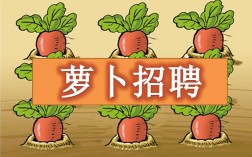 长春萝卜招聘是啥？招啥岗？待遇咋样？