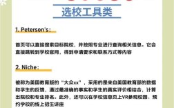 如何高效建立学校网站？关键步骤有哪些？