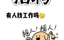 成都爬虫招聘要求高吗?薪资多少?