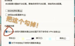 搭建网站不用服务器吗