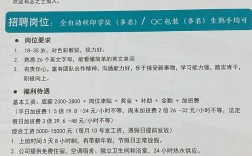 Imagination招聘，具体岗位有哪些要求？