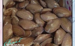 焯过水花甲怎么保存才新鲜？