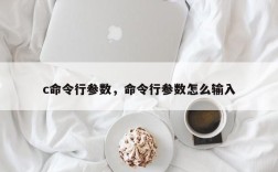c命令行参数，命令行参数怎么输入