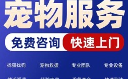 猫咪网站招啥样的人才？