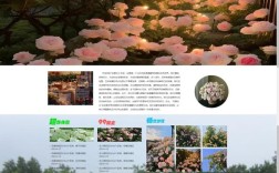 花店网站搭建，花店网站如何快速搭建并获客？