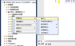 建站如何建sql server数据库，建站如何创建SQL Server数据库？
