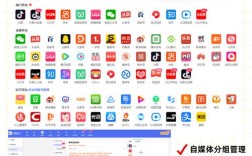 新站如何快速优化到权重6？