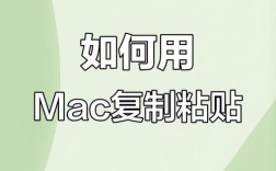 微页页面如何复制粘贴，微页页面如何复制粘贴？