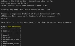 SQL打开数据库的命令是什么？