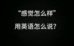 他感觉如何英语如何正确表达？