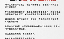网站如何高效提升用户量？