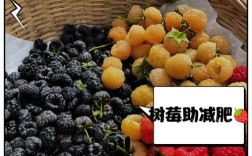 树莓精选招聘,具体岗位和要求是什么?