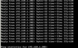 ping命令的n选项具体作用是什么？