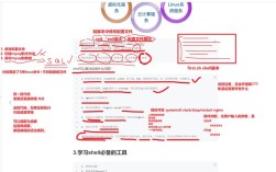 Shell编程招聘，需要掌握哪些核心技能？