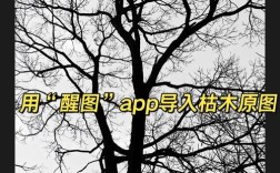 ps如何让一棵树出现人脸的轮廓