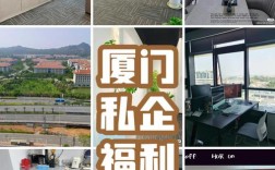厦门basefx 招聘，厦门basefx招聘，具体岗位和要求是什么？