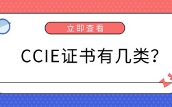 ccie工程招聘，CCIE工程招聘，薪资与岗位要求如何？