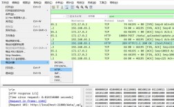 Linux check命令有哪些具体用法和参数？