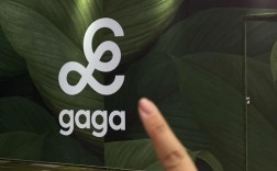 gagamatch招聘什么岗位？要求有哪些？