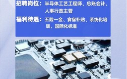 CPU设计招聘，看重经验还是潜力？