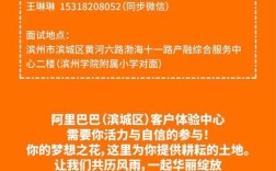 阿里招聘书有何核心亮点？