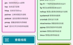 Linux read命令如何高效交互式读取输入？