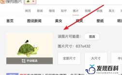 搜索官网如何让图片显示出来？
