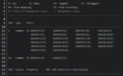 交换机SSH登录命令具体怎么输入？