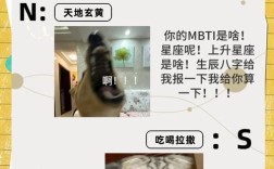 m如何与s打招呼？