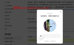 如何让百度快照快速更新？