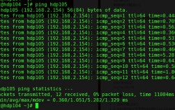 ping命令返回结果如何解读？