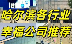 哈尔滨网站建设推广公司