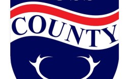 trusple招聘，岗位详情如何？