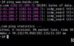 Linux命令如何强制终止？