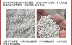 如何准确辨别合肥与其他城市的独特之处？