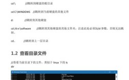 Windows C命令行参数如何传递与解析？