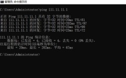 ping命令时间戳有何作用？
