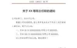 任命令格式有哪些具体要求？