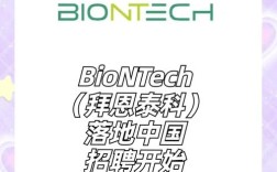 video producer招聘，需具备哪些核心能力？