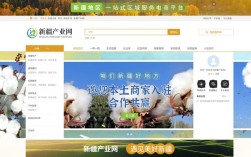 新疆网站搭建开发，新疆网站搭建开发，如何高效定制？